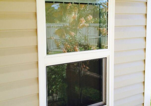 Window Instillation
